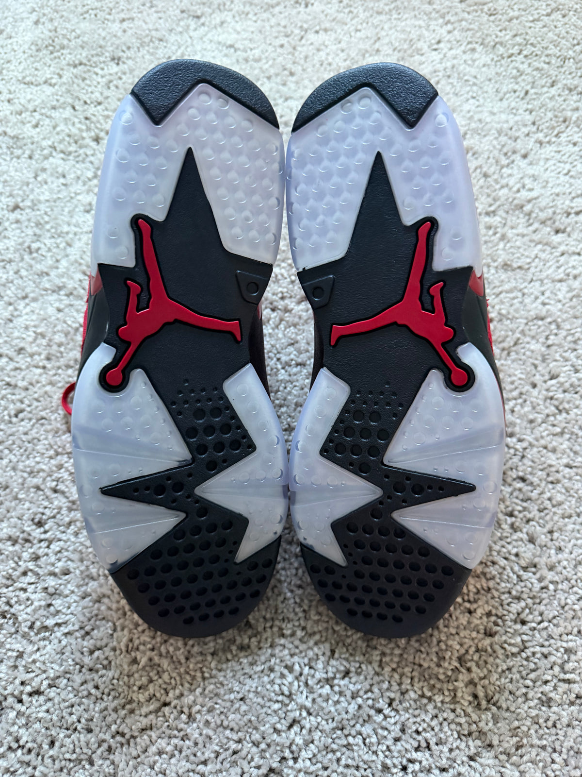 Jordan 6 Toro Bravo Brand New