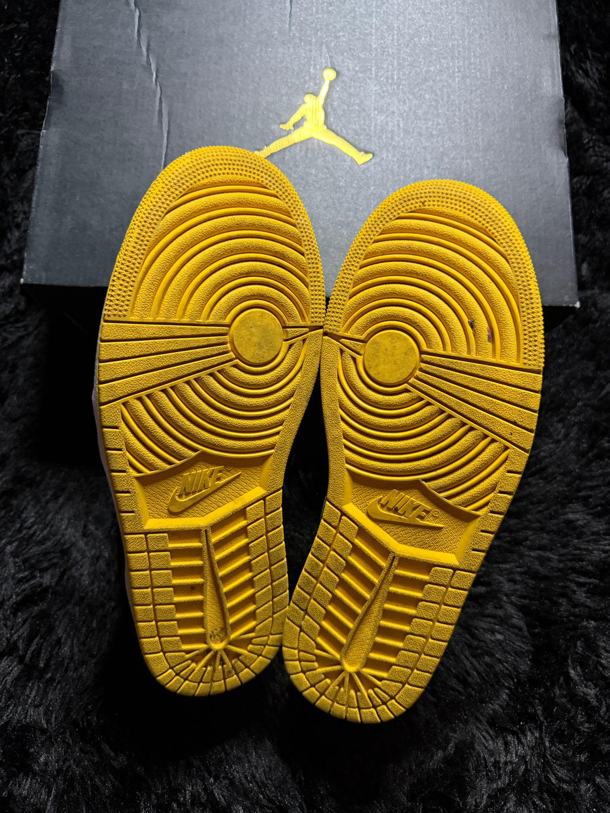 Jordan 1 low “Pollen” Worn 1x