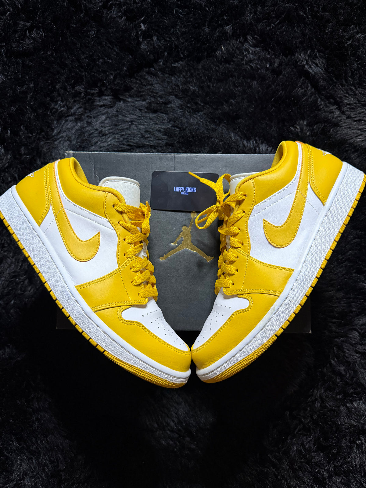 Jordan 1 low “Pollen” Worn 1x