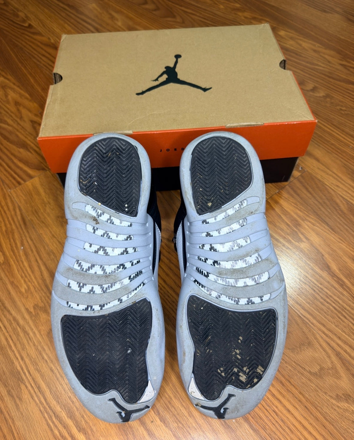 Jordan 12 Baron
