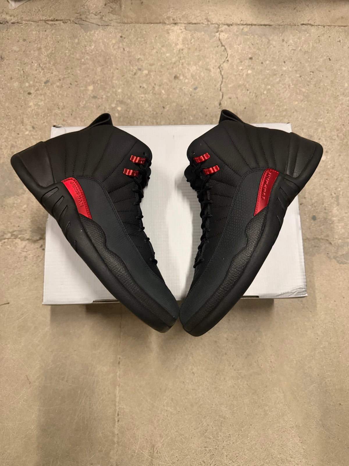 Jordan 12 bloodline Brand new!