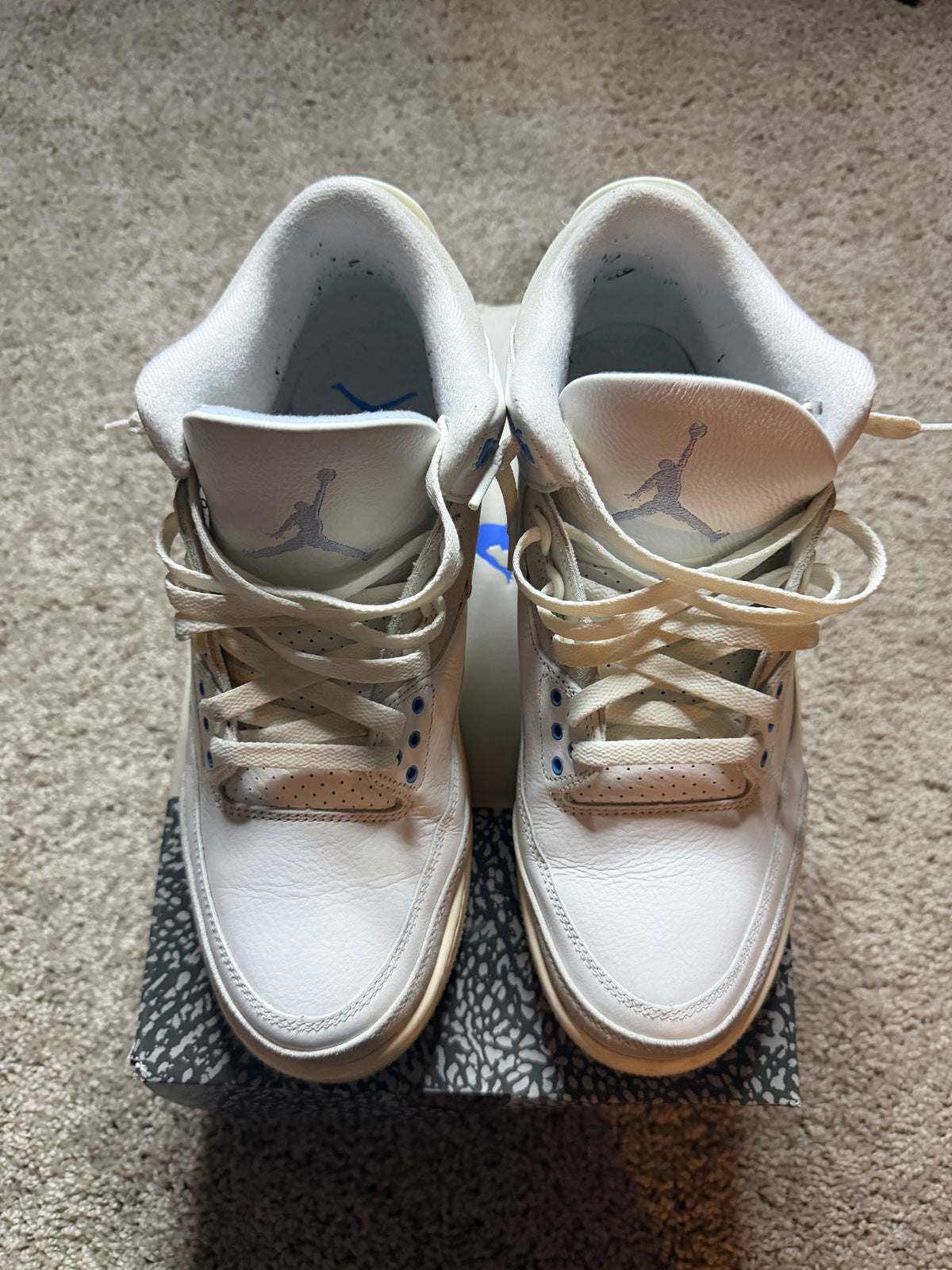 Jordan 3 lucky shorts