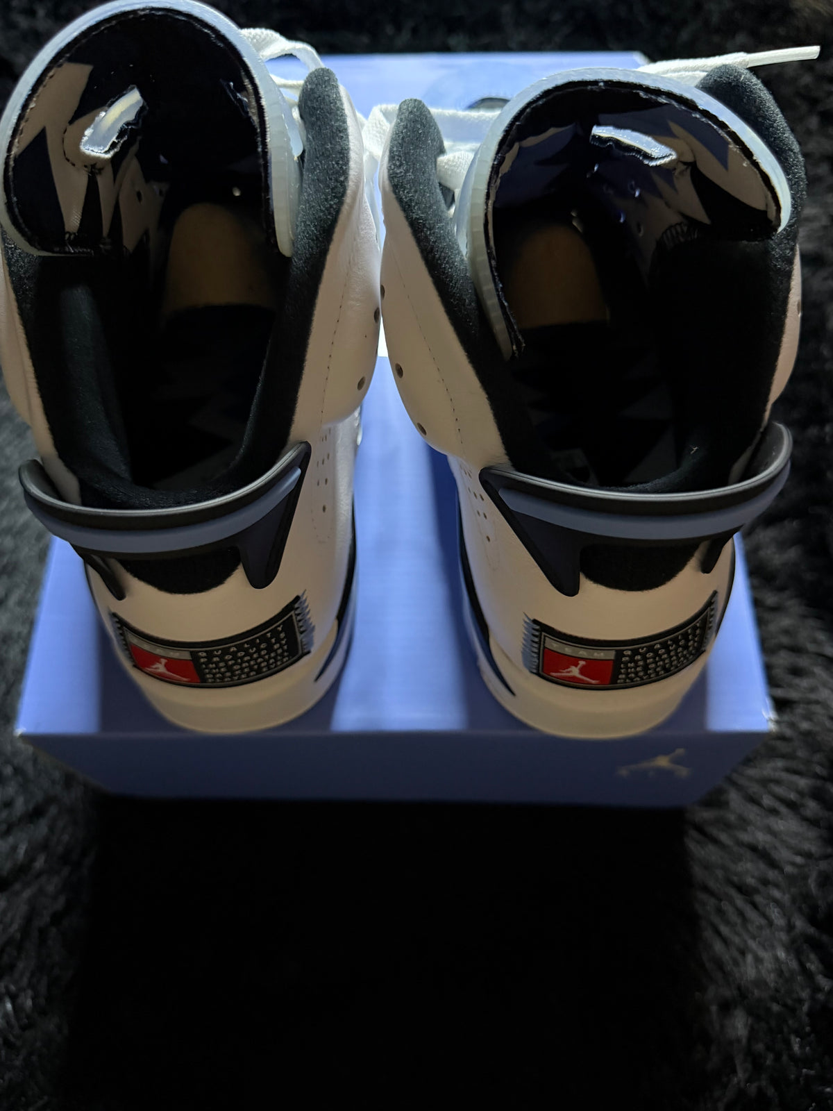 Jordan 6 “UNC” Brand new