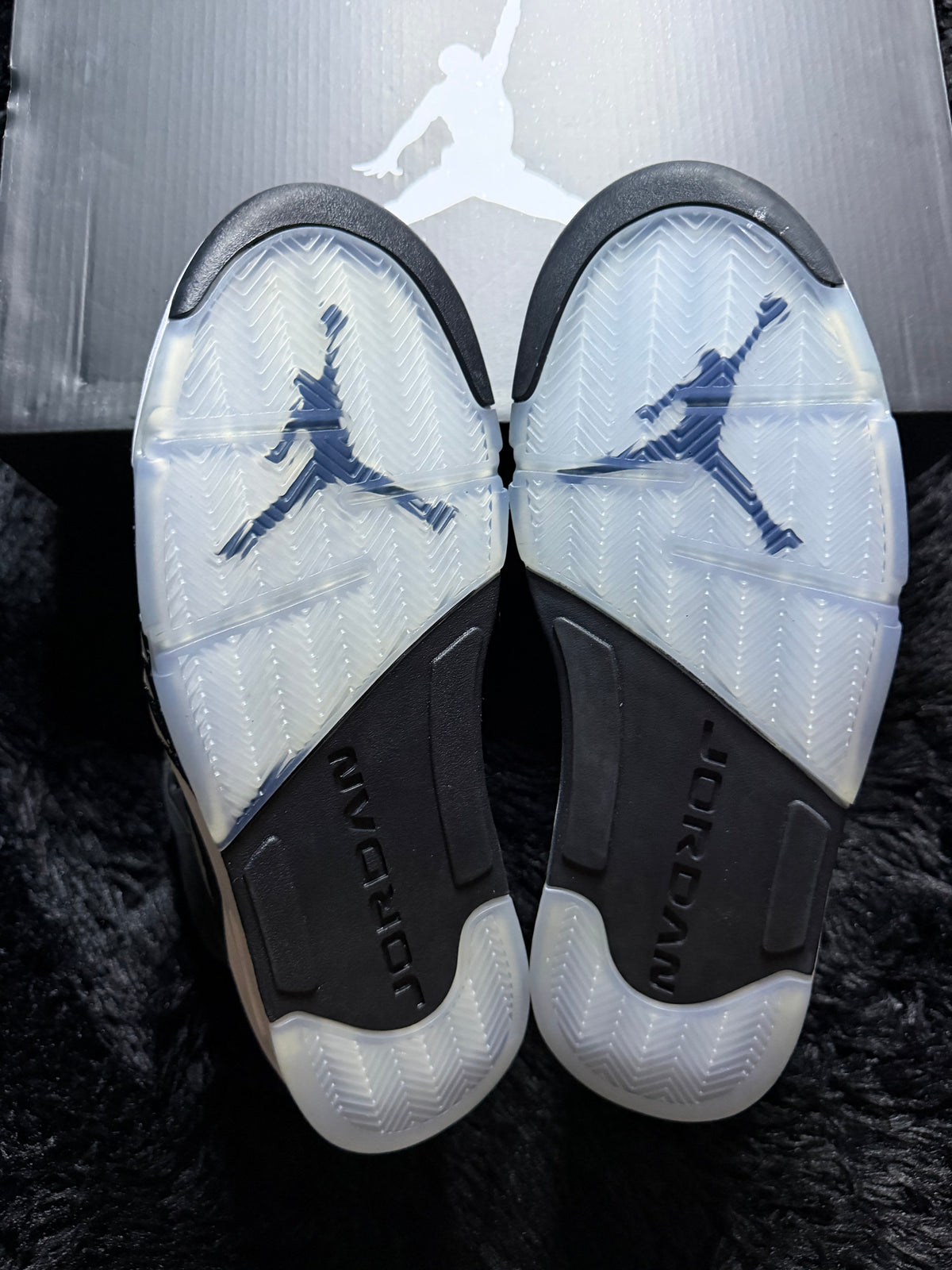 Jordan 5 “moonlight” Worn 1x