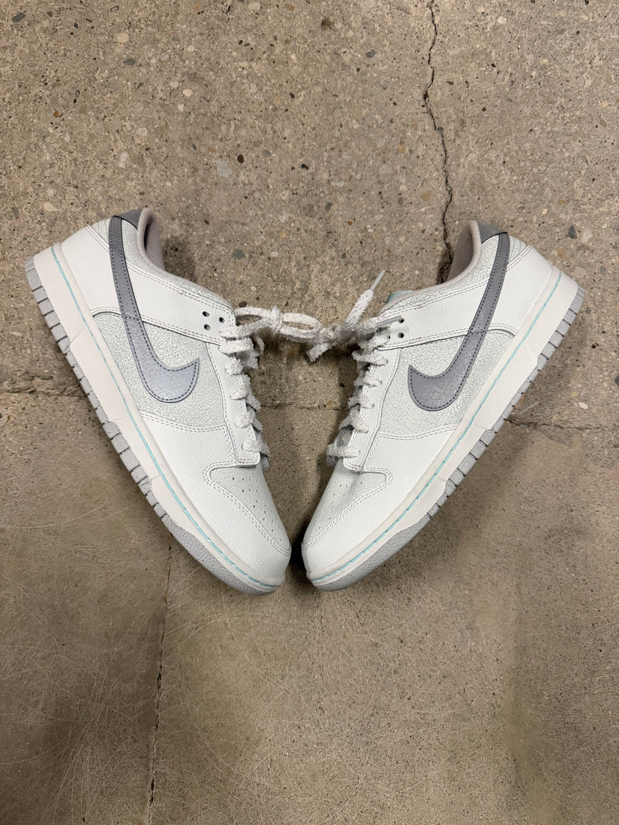 Nike Dunk Winter Storm Brand New