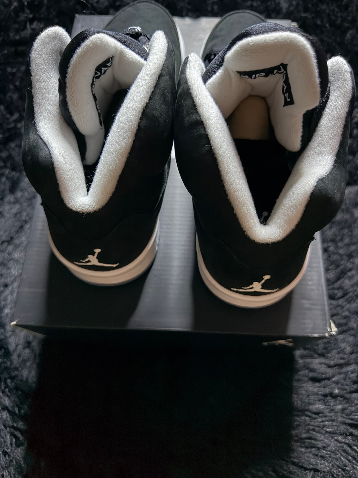 Jordan 5 “moonlight” Worn 1x