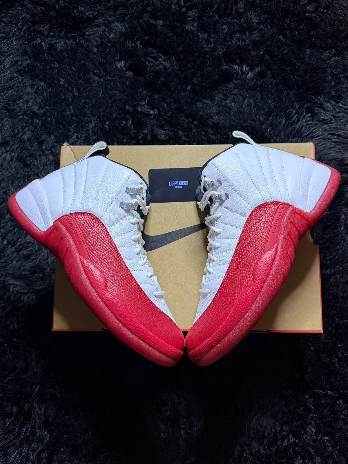 Jordan 12 “Cherry” Brand New