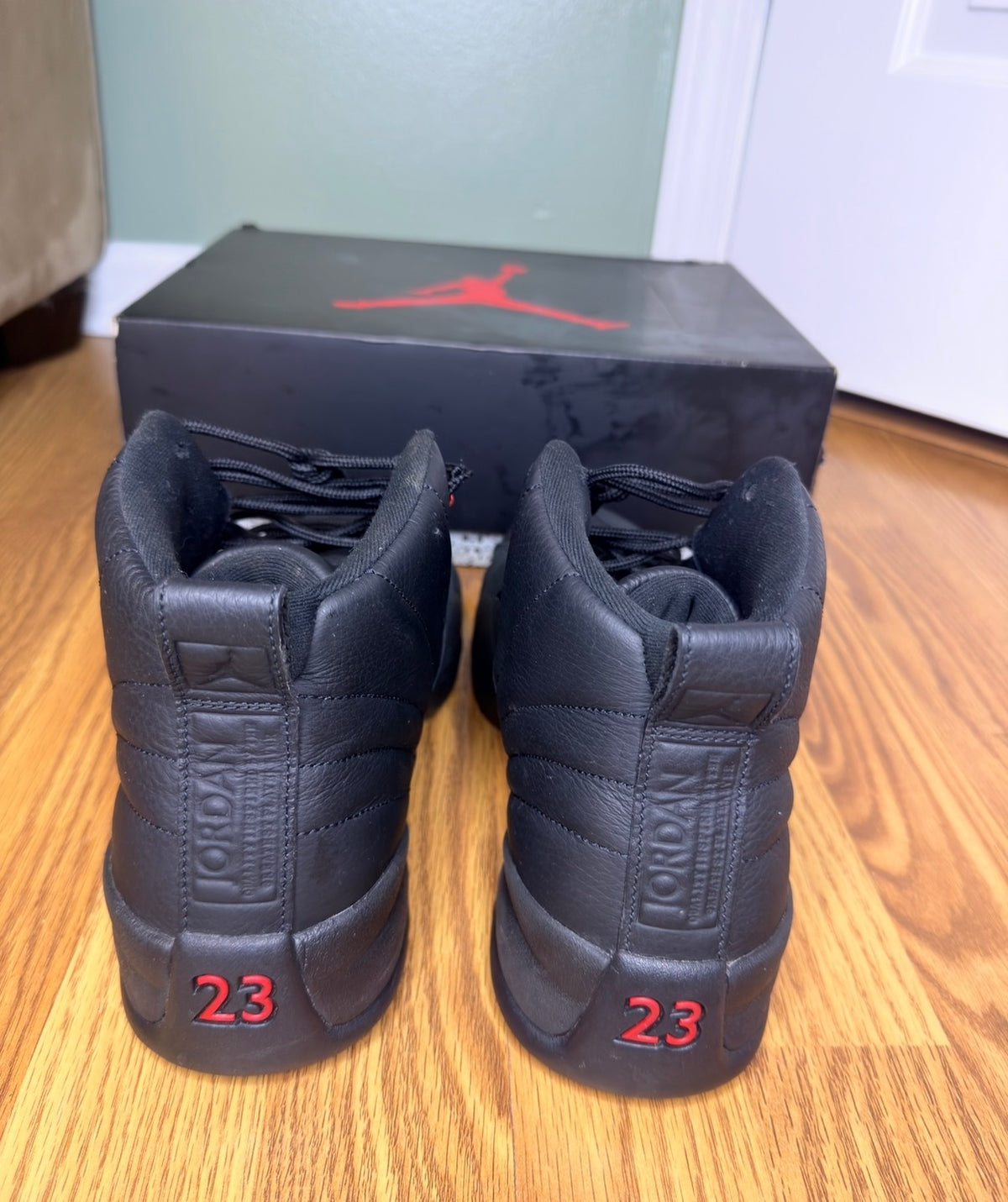 Jordan 12 Bloodline