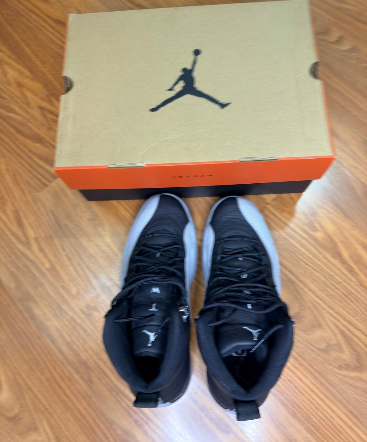 Jordan 12 Baron