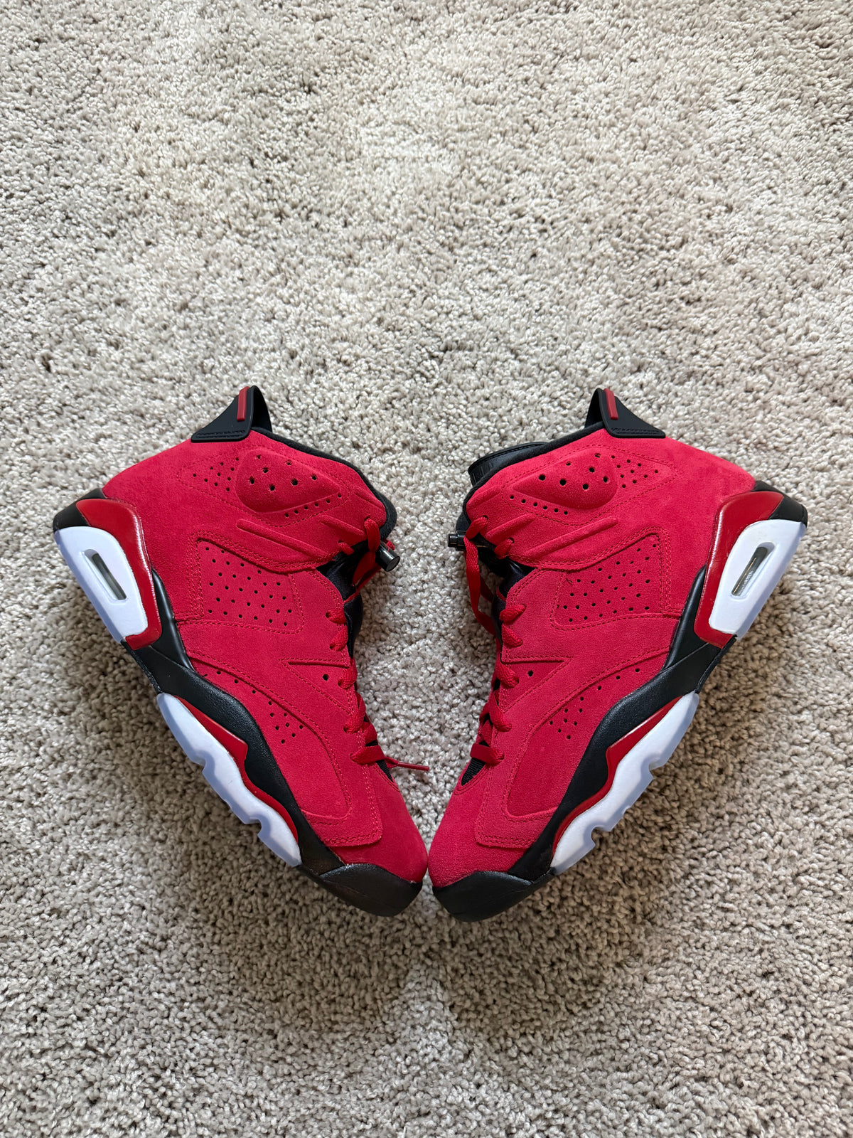 Jordan 6 Toro Bravo Brand New