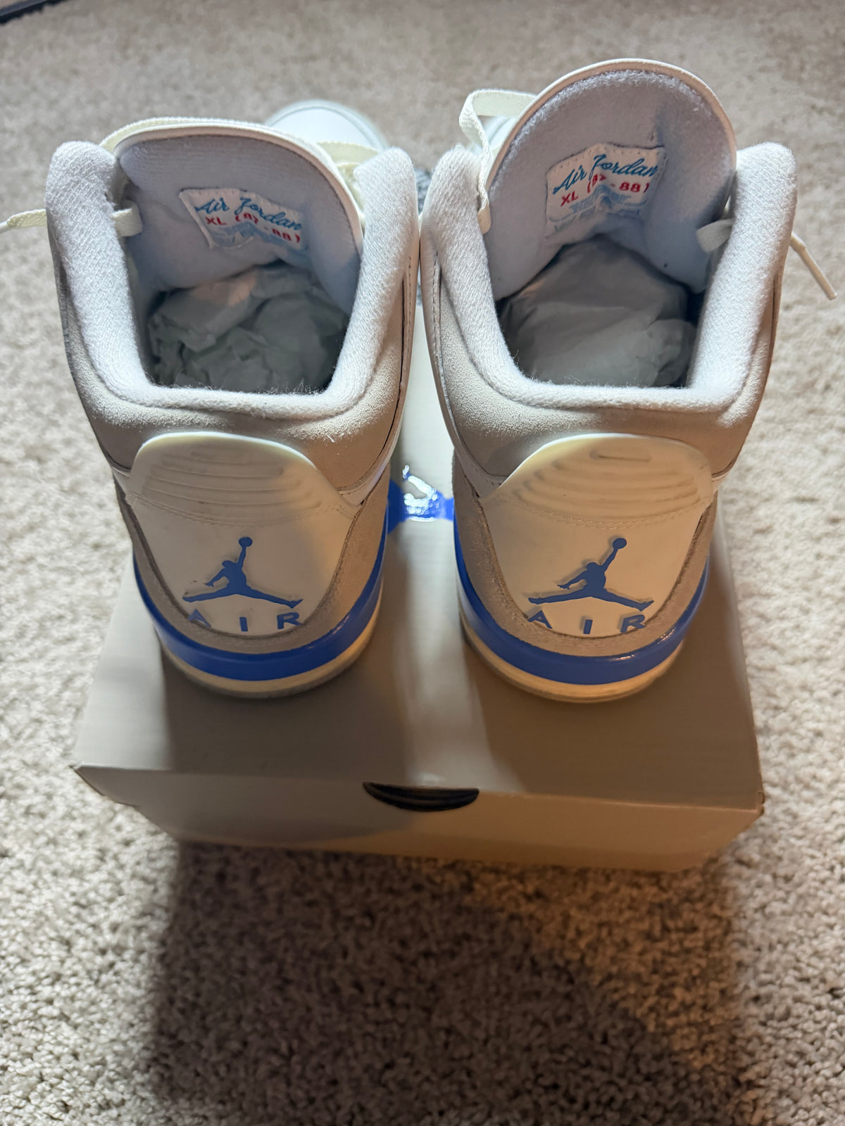 Jordan 3 lucky shorts