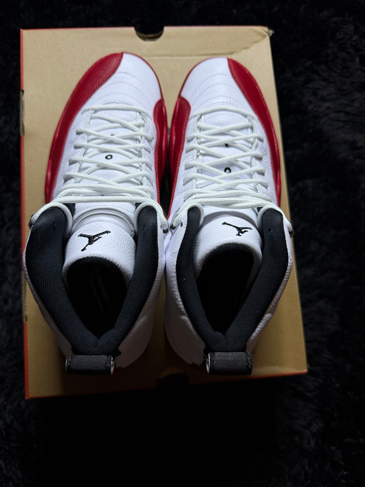 Jordan 12 “Cherry” Brand New