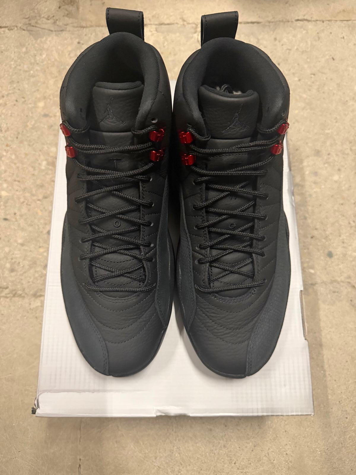 Jordan 12 bloodline Brand new!