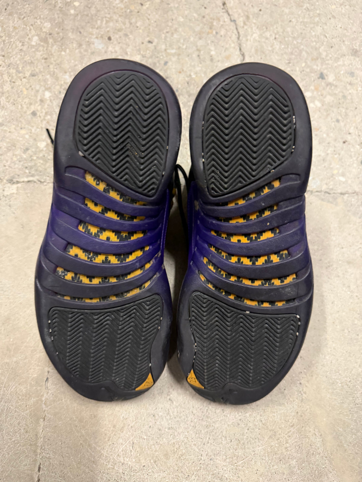 Jordan 12 Court Purple Pre-owned