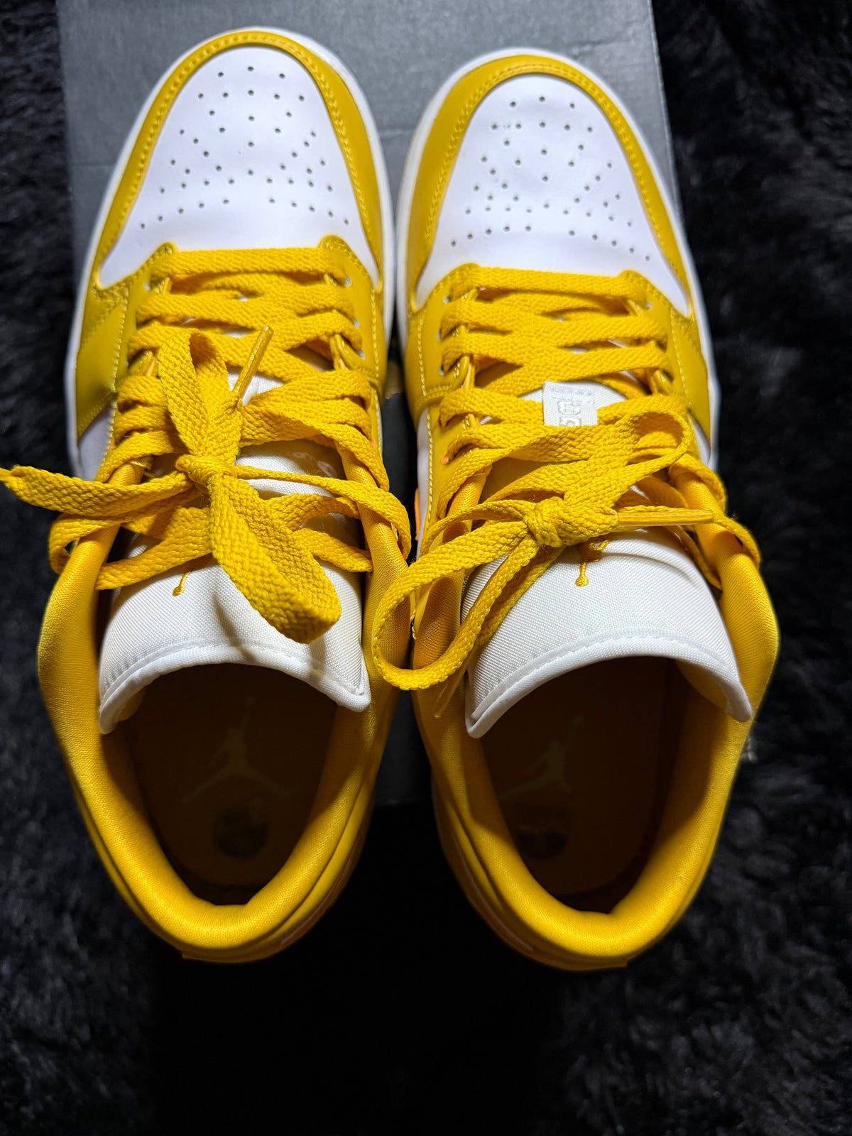 Jordan 1 low “Pollen” Worn 1x