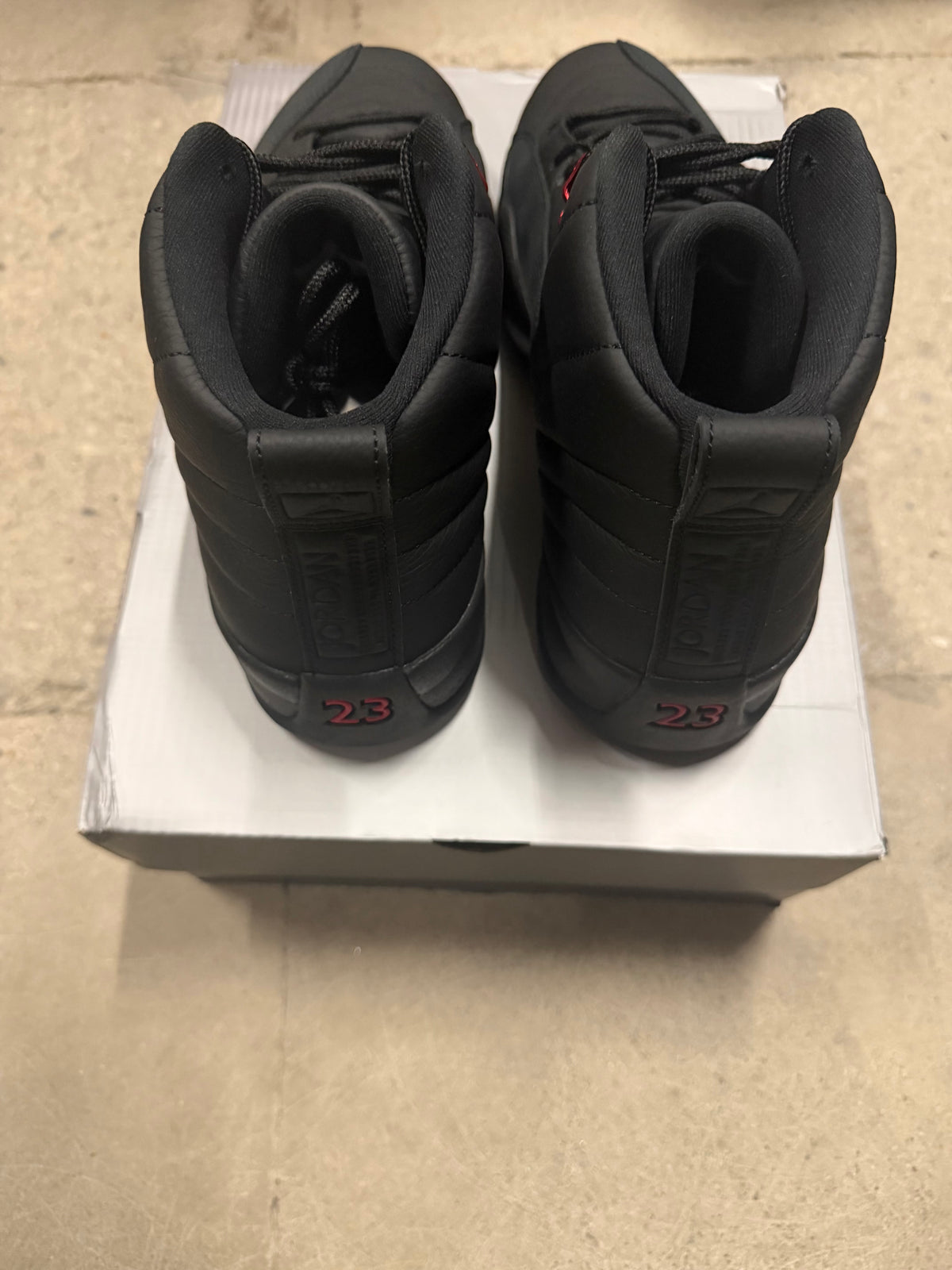 Jordan 12 bloodline Brand new!
