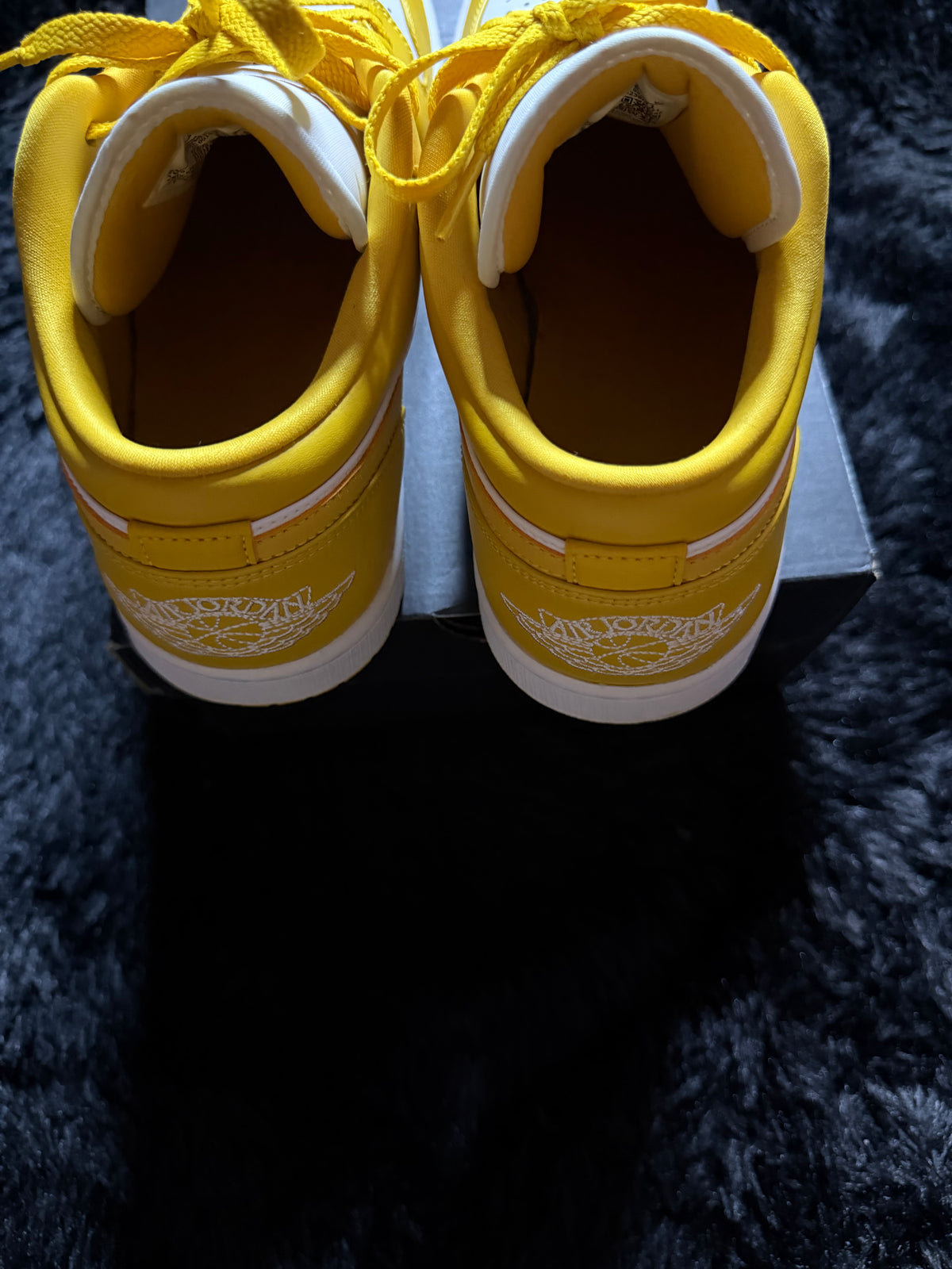 Jordan 1 low “Pollen” Worn 1x