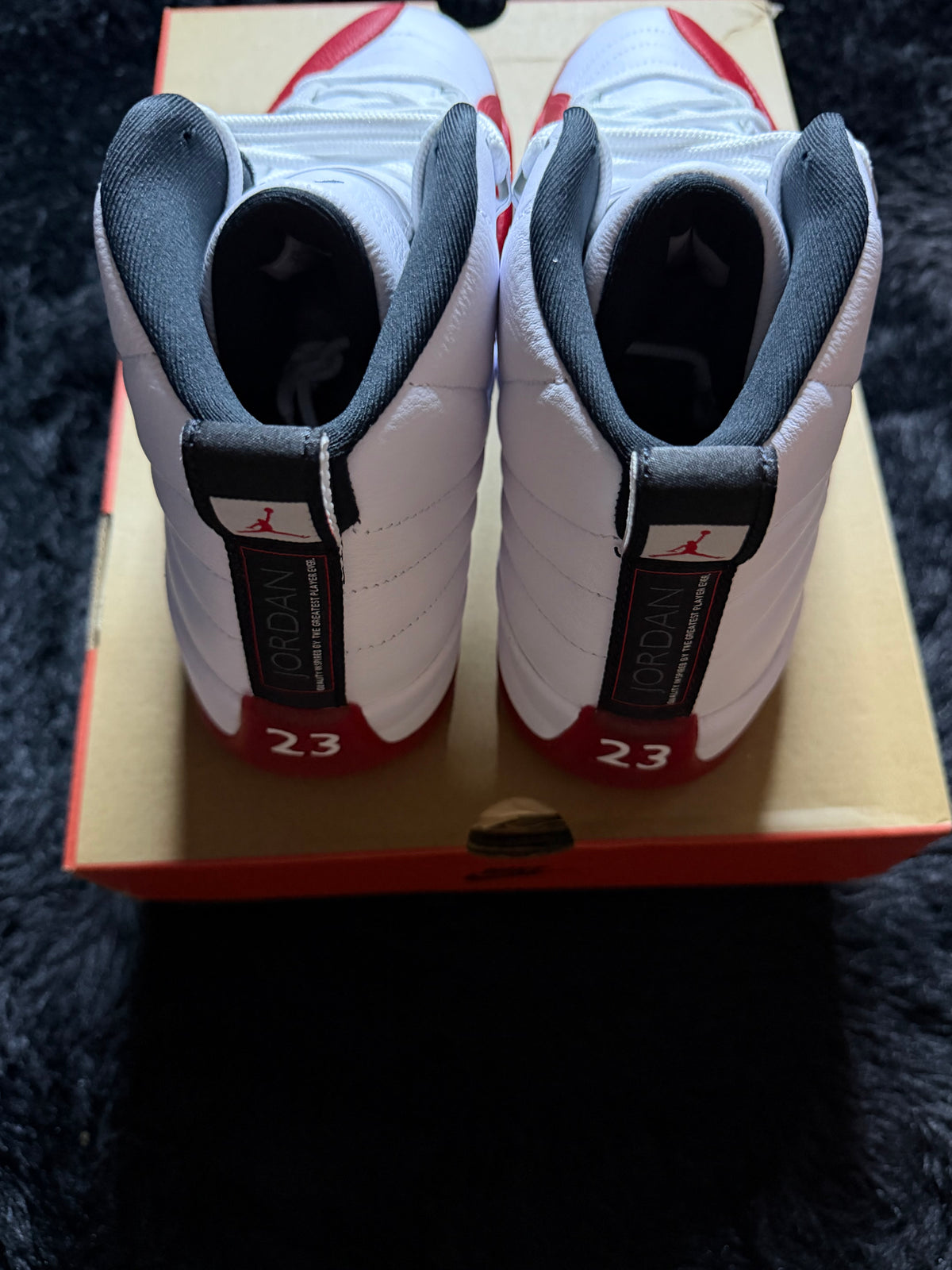 Jordan 12 “Cherry” Brand New
