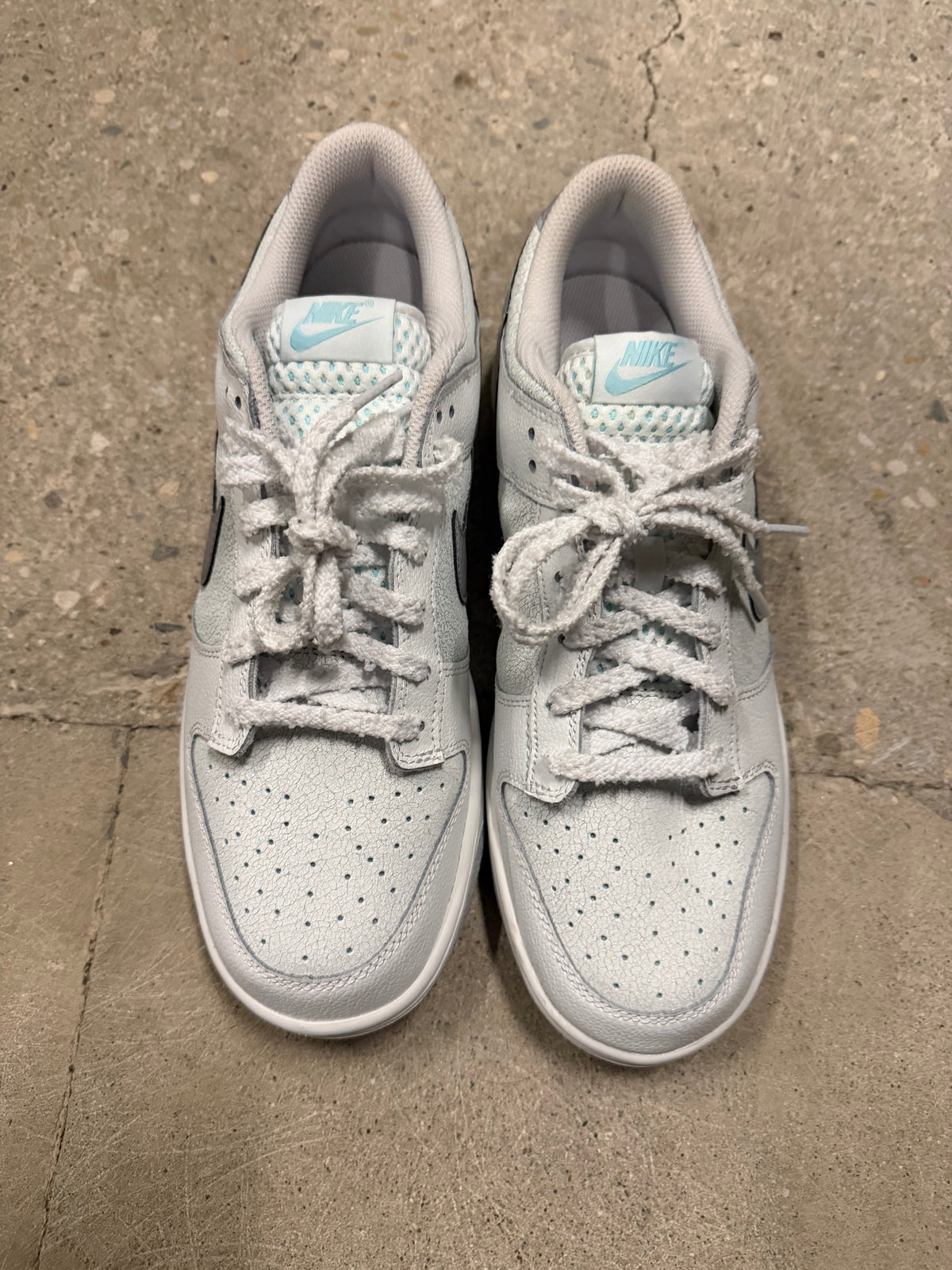 Nike Dunk Winter Storm Brand New