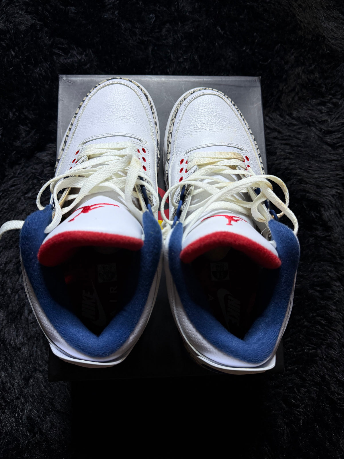 Jordan 3 wizards Pre-Owned