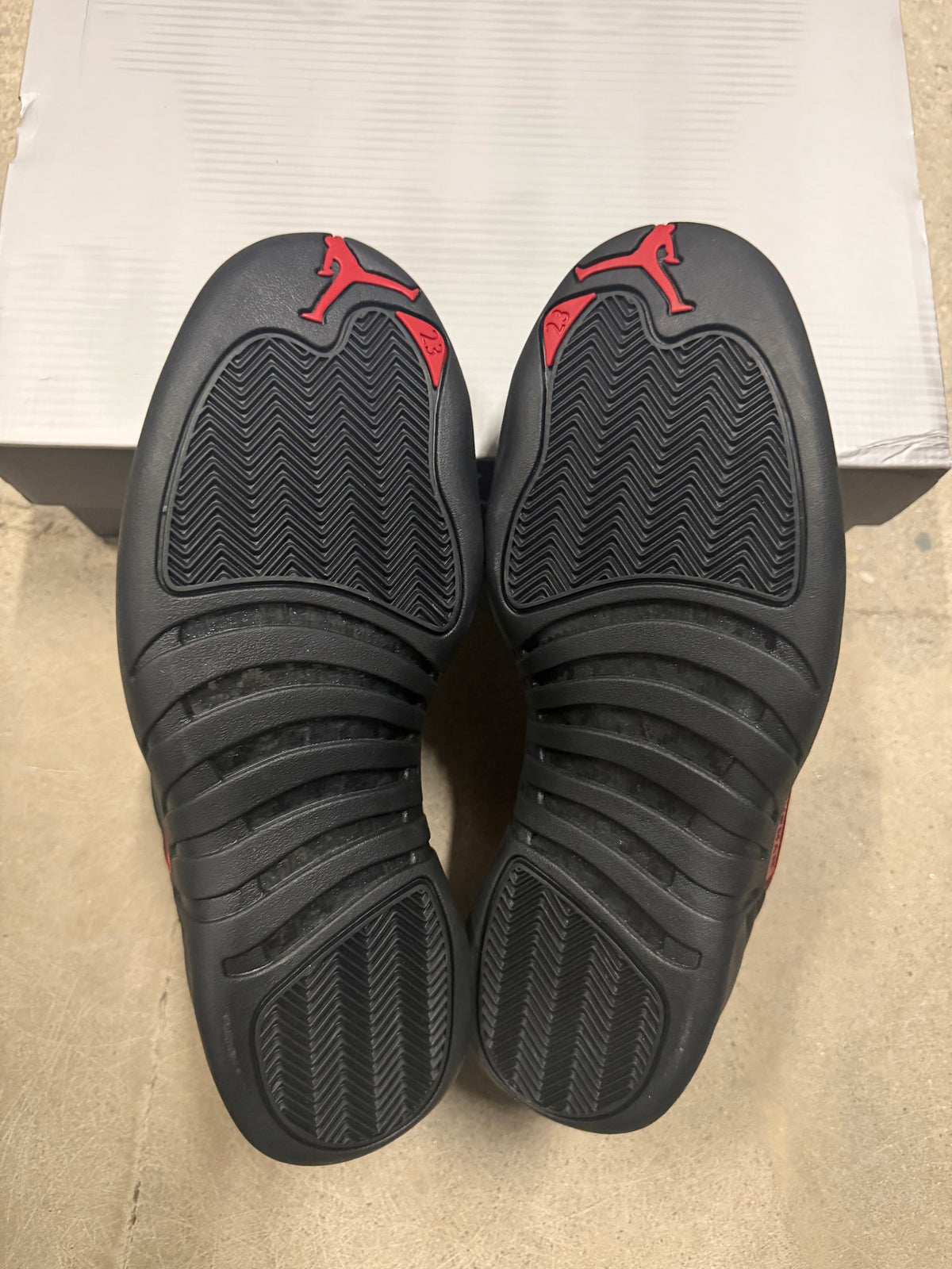 Jordan 12 bloodline Brand new!