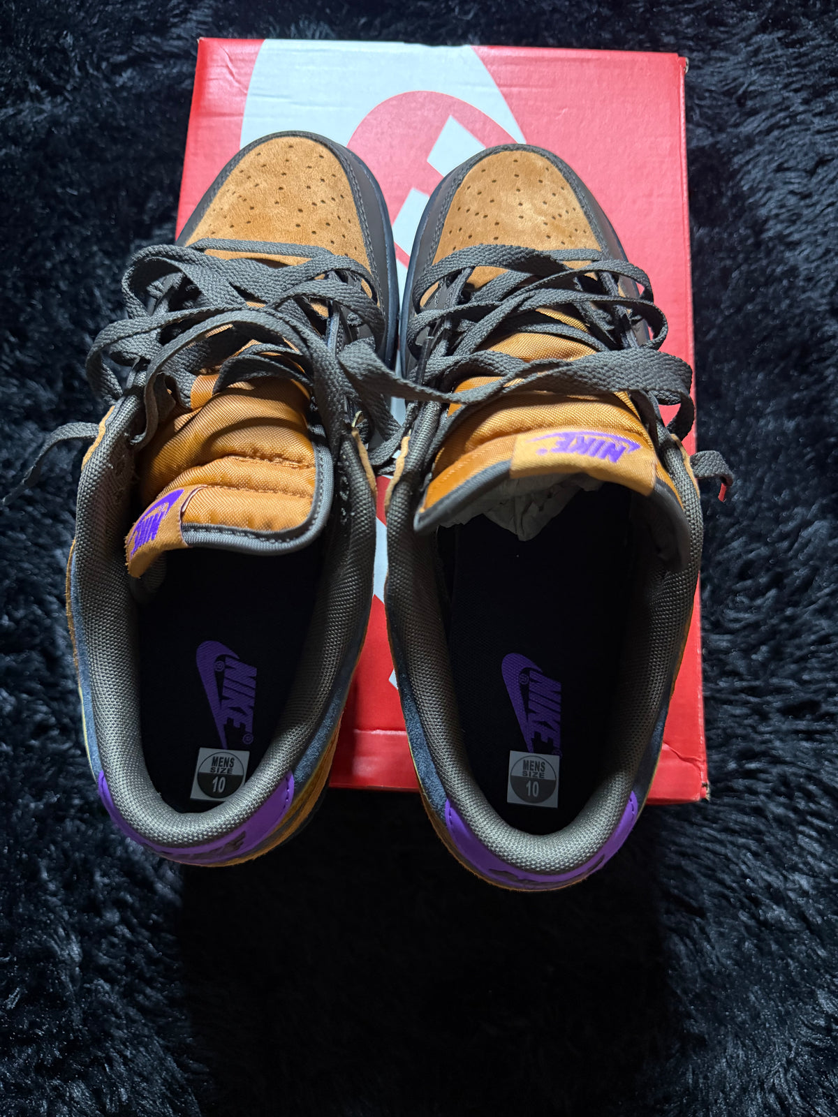 Nike Dunk Low “Cider” Brand New