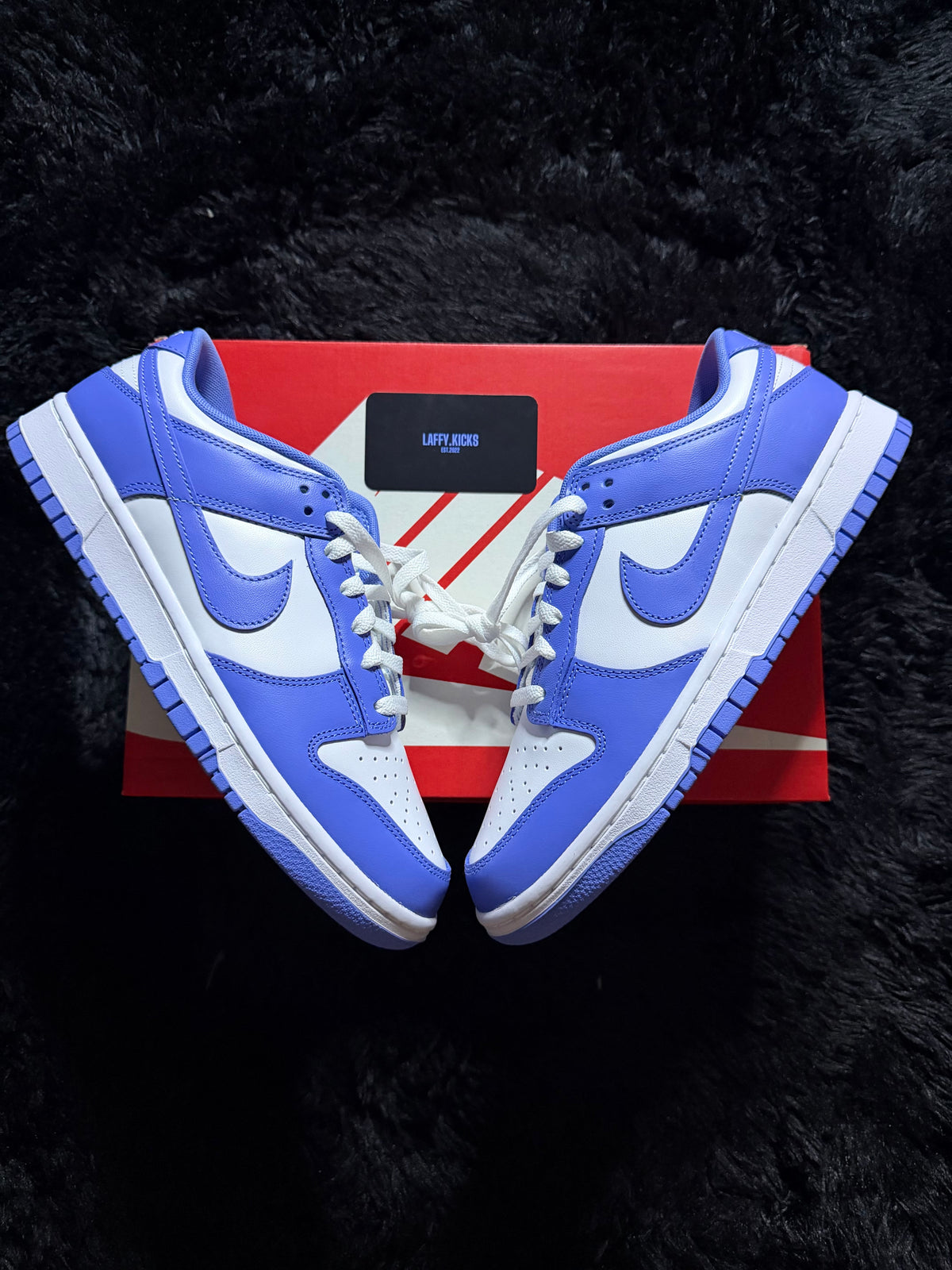 Nike Dunk Low “Polar blue” Brand new