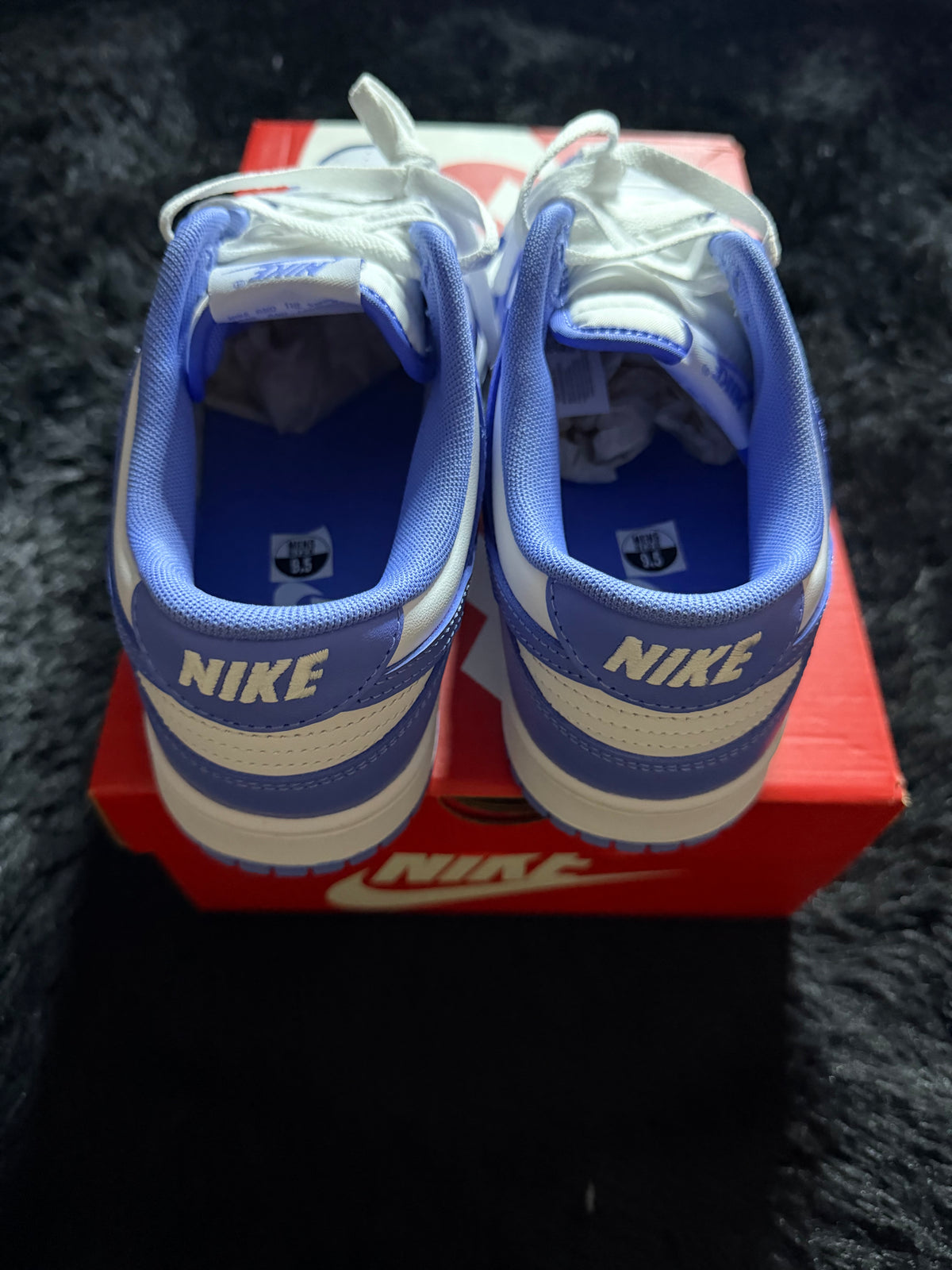 Nike Dunk Low “Polar blue” Brand new
