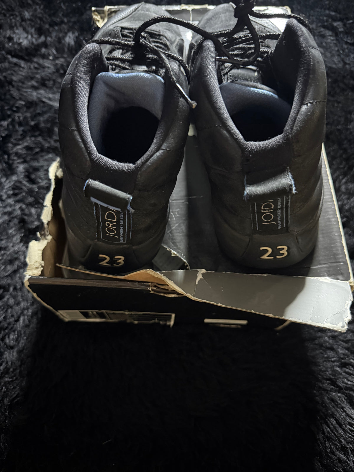 Jordan 12 “Nubuck” (2009) Pre-Owned