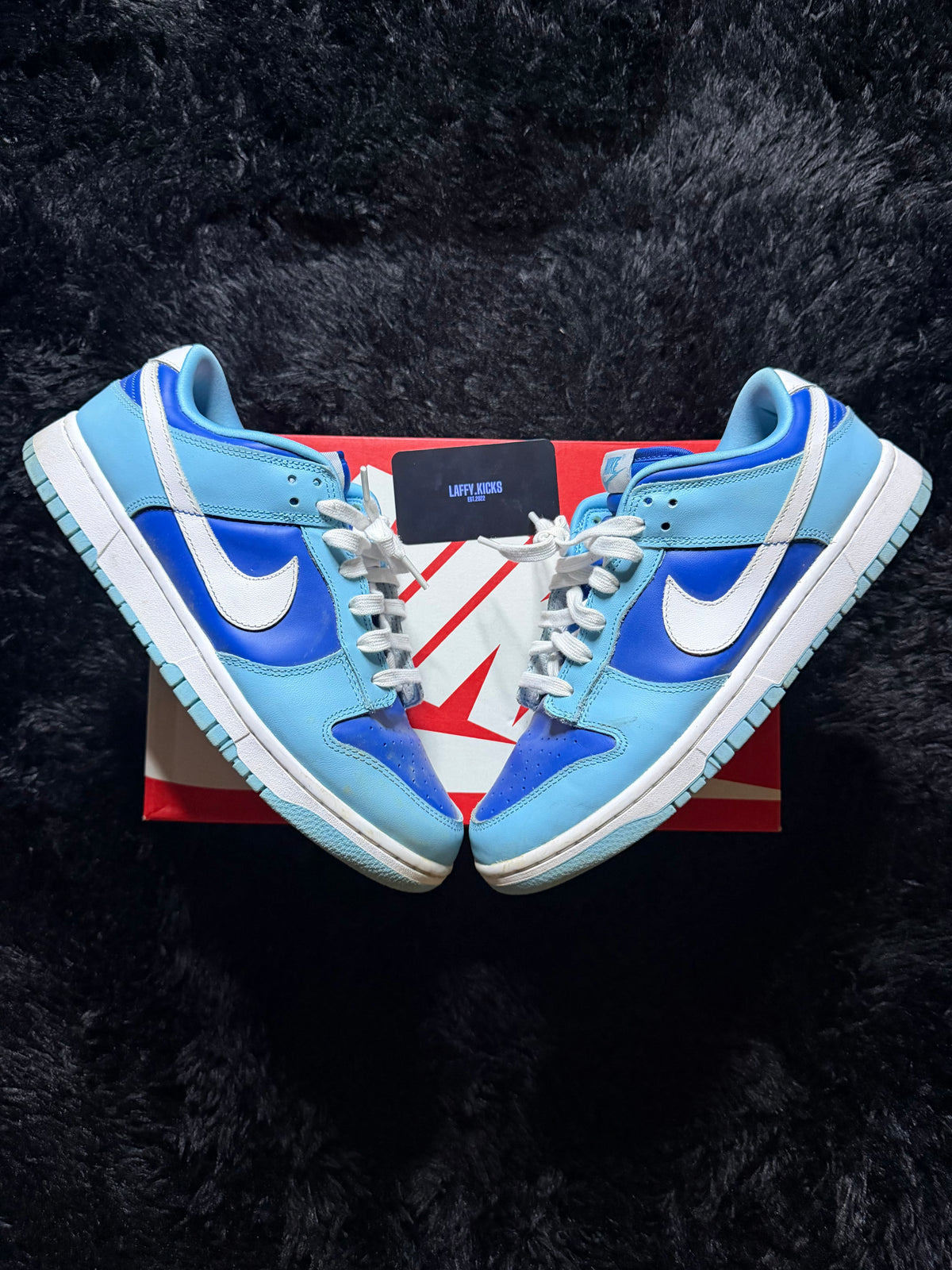Nike Dunk Low “Argon” Pre-Owned