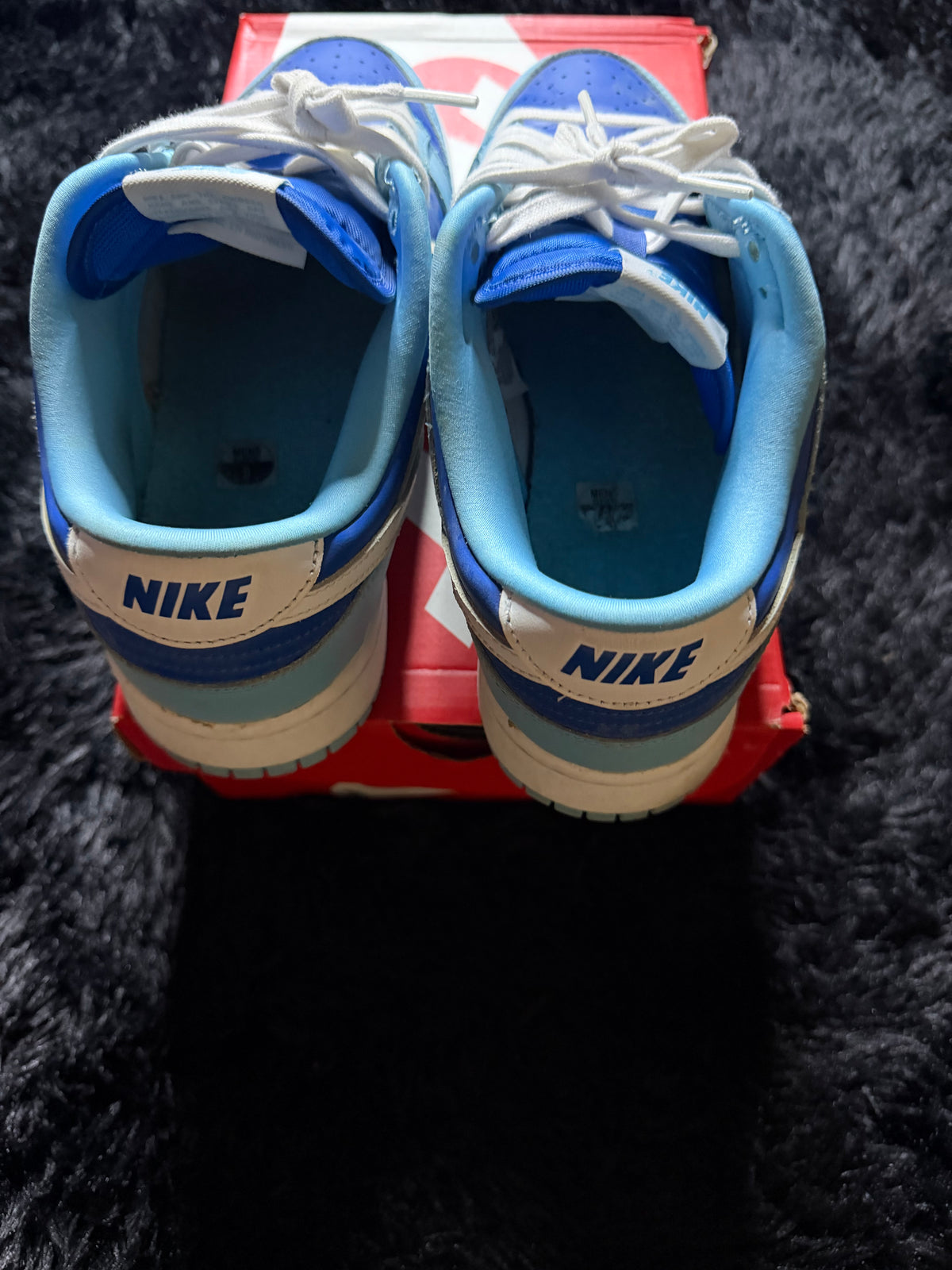 Nike Dunk Low “Argon” Pre-Owned