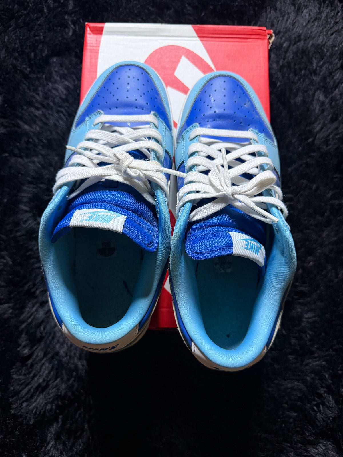 Nike Dunk Low “Argon” Pre-Owned