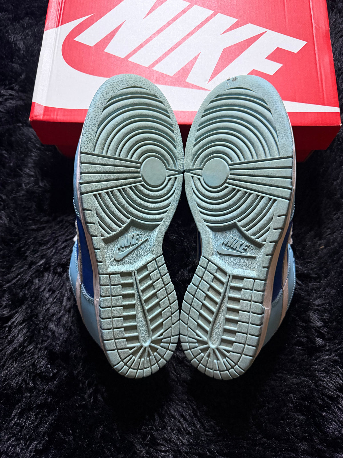 Nike Dunk Low “Argon” Pre-Owned