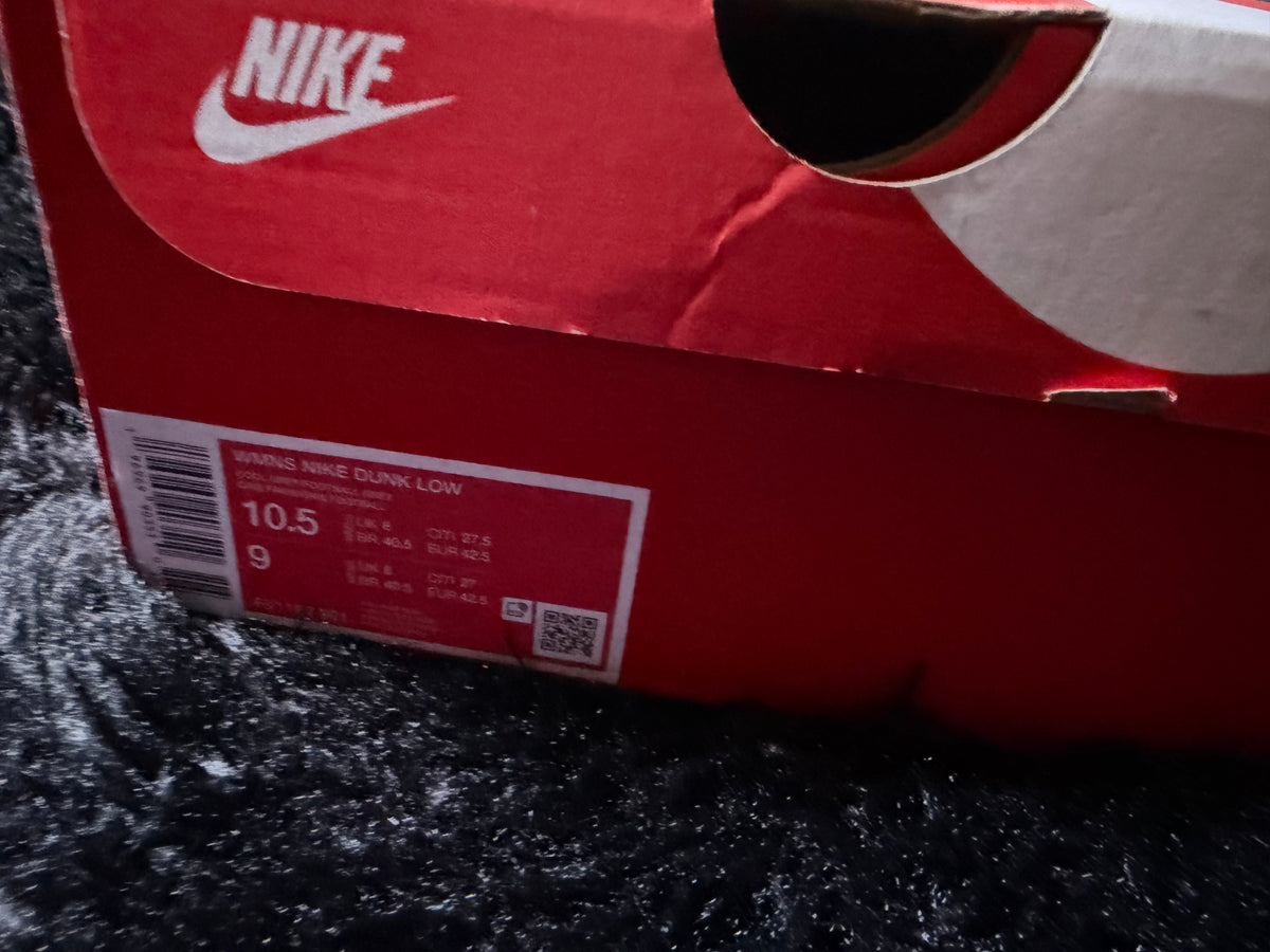 Nike Dunk Low “Argon” Pre-Owned