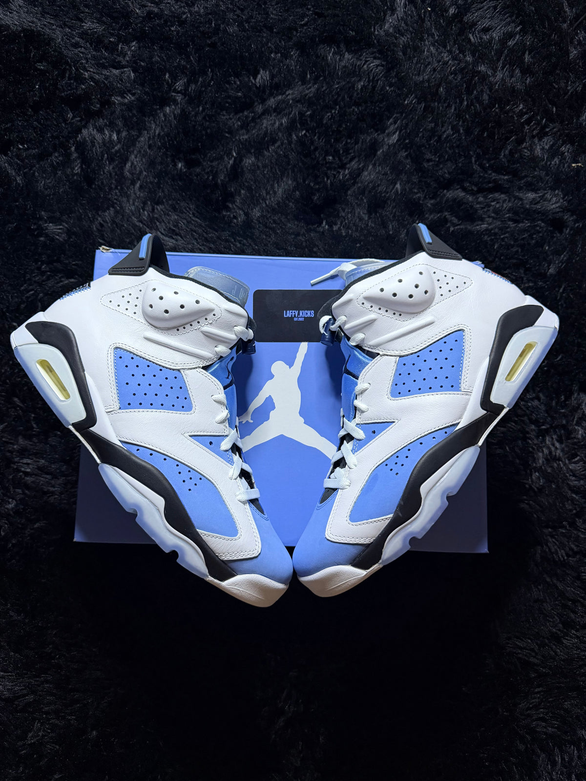 Jordan 6 “UNC” brand new