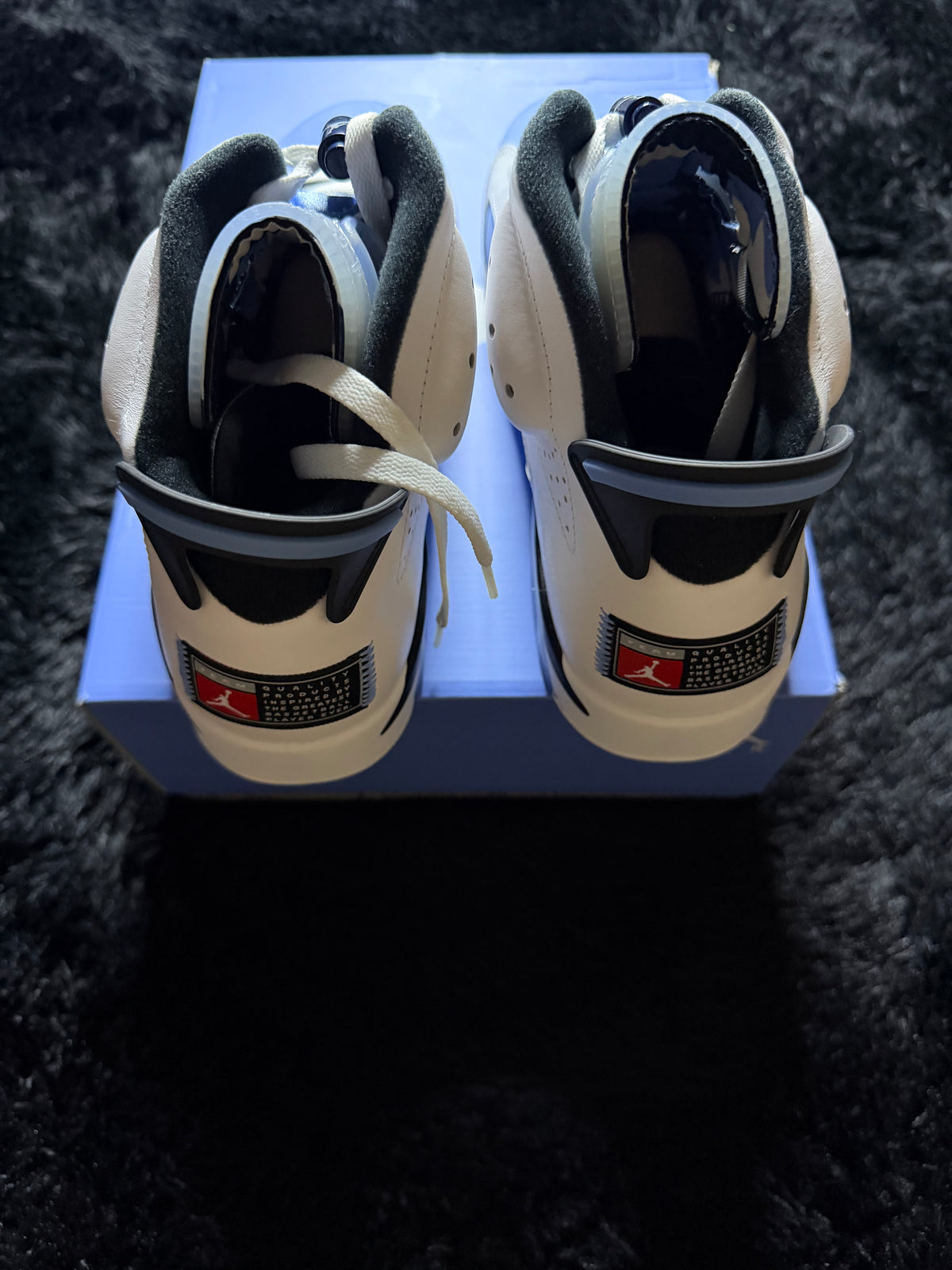 Jordan 6 “UNC” brand new
